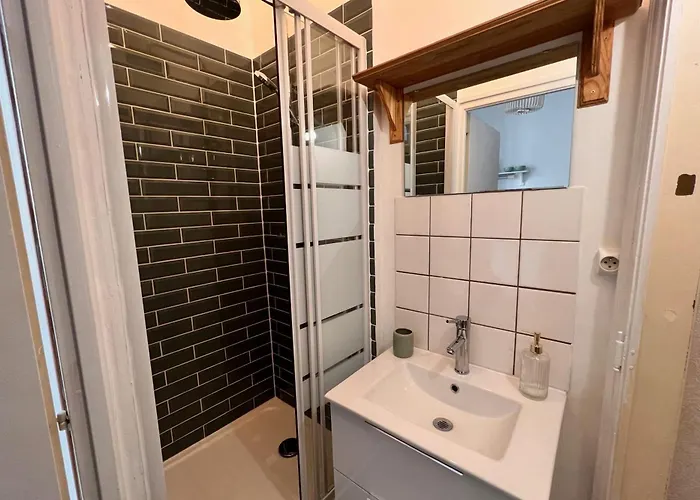 公寓 Centre Renove Et Equipe 南锡